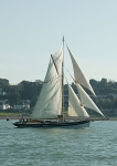 081012 ANNABEL 8CDX1660