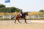 SBM_006390