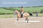 BPP_9551