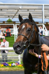 270523-Race 6-Quantum Impact-0934