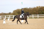 SBM_010214