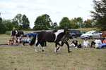 WJ6_5642