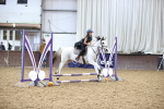 SBM_000675