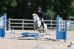 Showjumping Competition portfolio