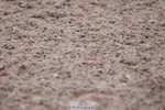 240121A-090251-00782