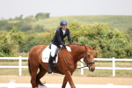 SBM_006329
