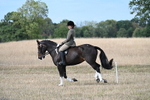 WJ7_7769