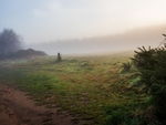 Otley Chevin