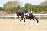SBM_000931