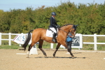 SBM_001501