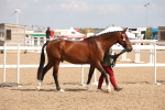 SBM_04520