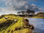Grassington Reservoir