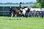 SBM_12220