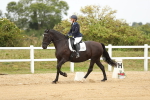 SBM_017737