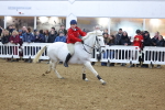 SBM_004339