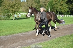 440-LODOR.CARL-Katie.Mathias-TrotUp+SJ portfolio