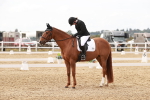 SBM_000975