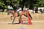Saturday 22nd Western Counties Arena portfolio