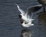 20110425-IMG_5048