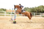 SBM_003214