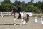 SBM_020931