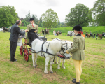 awards -75