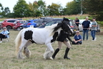 WJ6_6652