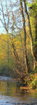 River Alyn Loggerheads