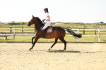 SBM_000532