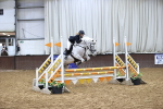 Class 9 - STX-UK Pony BritiNovice / 0.80m Open portfolio