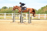 SBM_004388