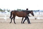 SBM_04993