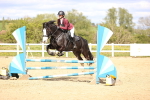 SBM_002995