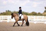 SBM_03598