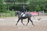 BPP_0036 1