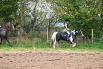 WJ6_8037