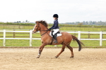SBM_003776
