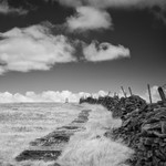 Path to Buckden Pike, Infrared (square format)