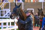 141125-Race 6-Lucky Bere-1377