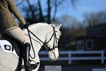 Dressage - CT Class 1 & 2 Intro 1 portfolio