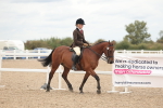 SBM_19119