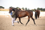SBM_08207