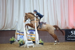 SBM_007481