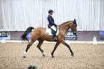 SBM_019406