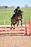 Cls 1 British Novice and 90cm Open portfolio