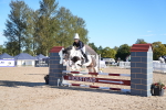 SBM_16015