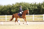 SBM_008593