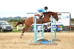 SBM_004330