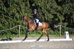 132-OGUE_VERDI-Kitty_King-WEDTrotUp+DR portfolio
