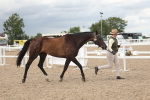 SBM_06888